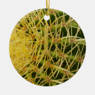 Nahaufnahme eines Fasskaktus - Abstrakte Naturfoto Keramikornament