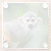 Nahaufnahme eines gemeinen Eichhörnchen-Affen Glasuntersetzer (Rückseite)