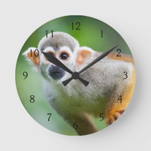 Nahaufnahme eines gemeinen Eichhörnchen-Affen Runde Wanduhr
