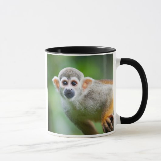 Nahaufnahme eines gemeinen Eichhörnchen-Affen Tasse (Rechts)