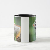 Nahaufnahme eines gemeinen Eichhörnchen-Affen Tasse (Zentrum)