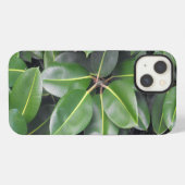 Nahaufnahme eines Gummibaums iPhone Hülle (Rückseite (Horizontal))