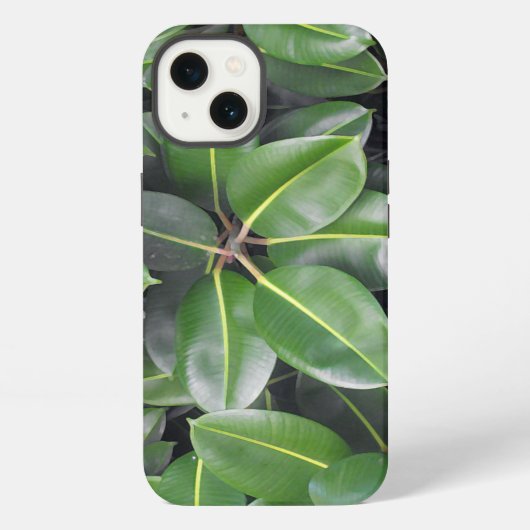 Nahaufnahme eines Gummibaums iPhone Hülle (Rückseite)