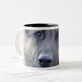 Nahaufnahme eines Hundegesichtes Zweifarbige Tasse (Vorderseite Links)