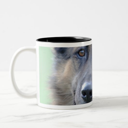 Nahaufnahme eines Hundegesichtes Zweifarbige Tasse (Links)