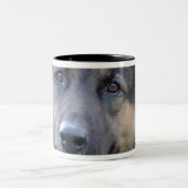 Nahaufnahme eines Hundegesichtes Zweifarbige Tasse (Mittel)