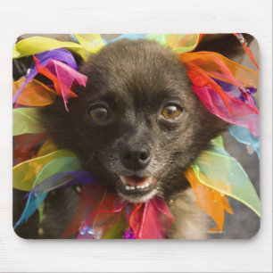 Nahaufnahme eines Hundes 2 Mousepad
