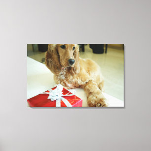 Nahaufnahme eines Hundes mit einem Geschenk Leinwanddruck