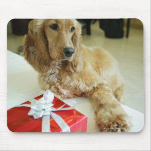 Nahaufnahme eines Hundes mit einem Geschenk Mousepad