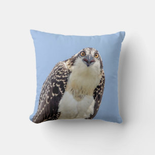 Nahaufnahme eines jugendlichen Osprey Kissen