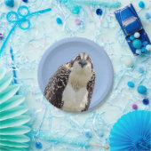 Nahaufnahme eines jugendlichen Osprey Pappteller (Party)