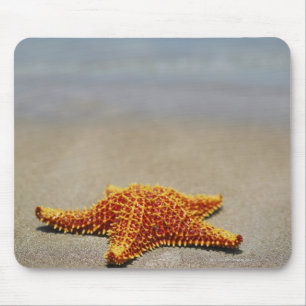 Nahaufnahme eines KissenStarfish Mousepad