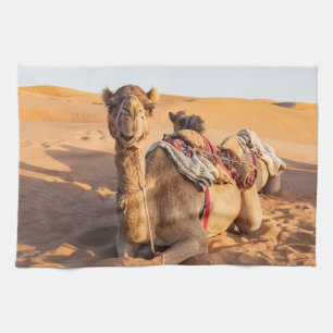 Nahaufnahme eines lustigen Kamels in der omanische Geschirrtuch