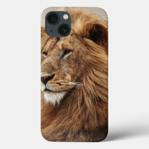 Nahaufnahme eines männlichen Löwen Case-Mate iPhone Hülle