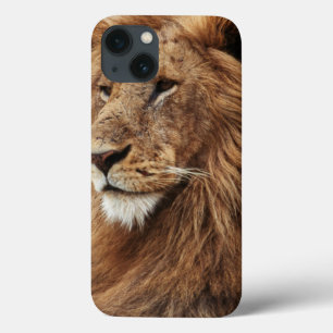Nahaufnahme eines männlichen Löwen Case-Mate iPhone Hülle