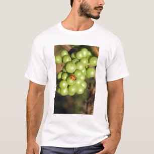 Nahaufnahme eines Marienkäfers auf grünen Pinot No T-Shirt