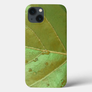 Nahaufnahme eines Meertraubenblatts Case-Mate iPhone Hülle