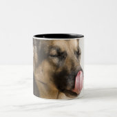 Nahaufnahme eines Schäferhunds, der seine Nase Zweifarbige Tasse (Mittel)