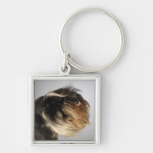 Nahaufnahme eines Schnauzer Schlüsselanhänger