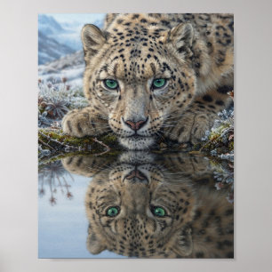 Nahaufnahme eines Schneeleoparden mit grünen Augen Poster