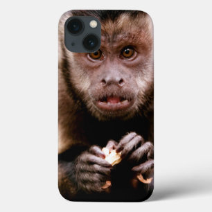 Nahaufnahme eines schwarz-mit einer Kappe iPhone 13 Hülle