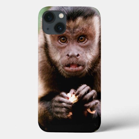Nahaufnahme eines schwarz-mit einer Kappe Case-Mate iPhone Hülle (Rückseite)