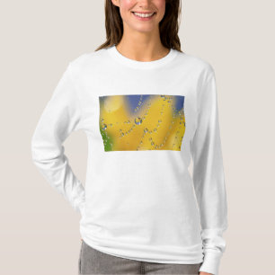 Nahaufnahme eines Spinnennetzes mit Tautropfen T-Shirt