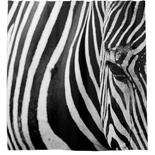NAHAUFNAHME EINES ZEBRAS DUSCHVORHANG (Vorderseite)