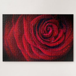 Nahaufnahme-Foto einer roten Rose Puzzle