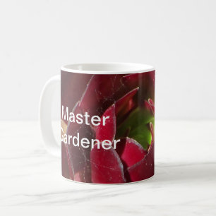 Nahaufnahme-Foto einer roten Sukkulente eines Meis Kaffeetasse