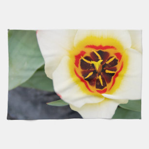 Nahaufnahme Foto von Frühlings-Tulpe Küchentuch