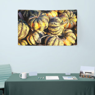 Nahaufnahme gestreifte Kürbisse Banner
