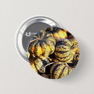Nahaufnahme gestreifte Kürbisse Button