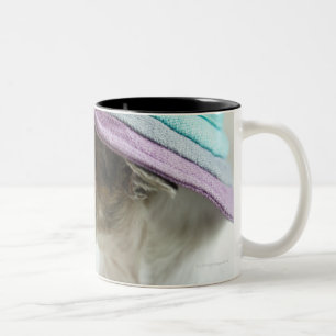 Nahaufnahme of der Chihuahua wearing hat Zweifarbige Tasse