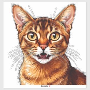 Nahaufnahme Orange Tabby-Abessinierkatze-Porträt Aufkleber