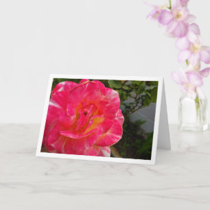 Nahaufnahme-Porträt einer rosa Rose Karte