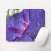 Nahaufnahme Prunkwinde lila Morgentau Mousepad (Mit Mouse)