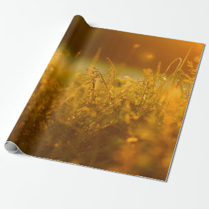 Nahaufnahme Silhouette eines Grasfeldes bei Sonnen Geschenkpapier