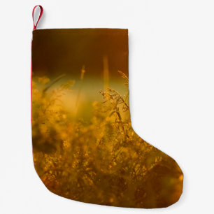 Nahaufnahme-Silhouette eines Grasfeldes bei Sonnen Kleiner Weihnachtsstrumpf