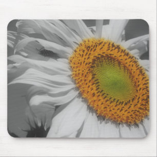 Nahaufnahme-Sonnenblume Schwarz-Weiß-Mauspad Mousepad