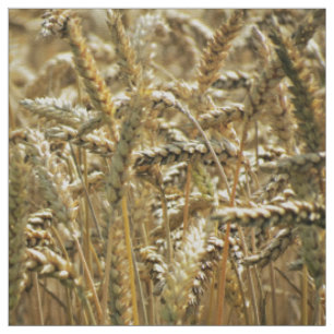 Nahaufnahme-themenorientiertes, getrocknetes Gras Stoff