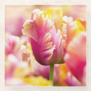 Nahaufnahme-Tulpen Glasuntersetzer