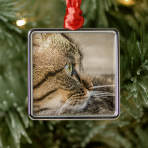 Nahaufnahme vom Gesicht einer getigerten Katze Silbernes Ornament