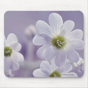 Nahaufnahme von Blumen 2 Mousepad