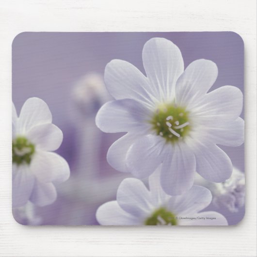 Nahaufnahme von Blumen 2 Mousepad (Vorne)