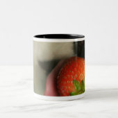 Nahaufnahme von einem Bichon Frise, der eine Zweifarbige Tasse (Mittel)