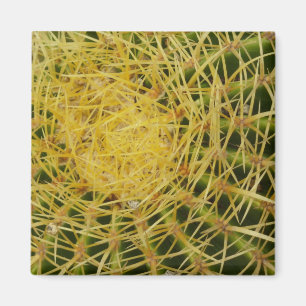 Nahaufnahme von Fasskaktus - Abstrakte Naturfotogr Magnet