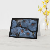 Nahaufnahme von Feigenfrucht Karte (Gelbe Blume)