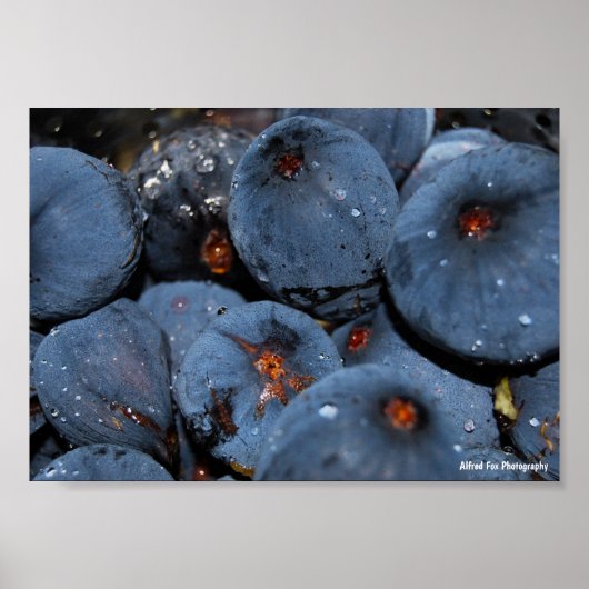 Nahaufnahme von Feigenfrucht Poster (Vorne)