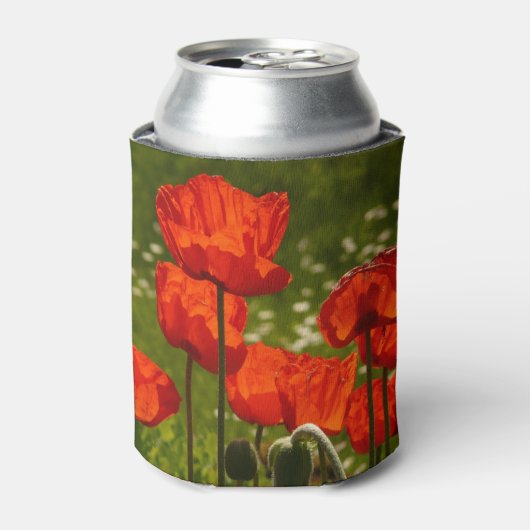 Nahaufnahme von hellen Mohnblumen Dosenkühler (Kanne Vorderseite)